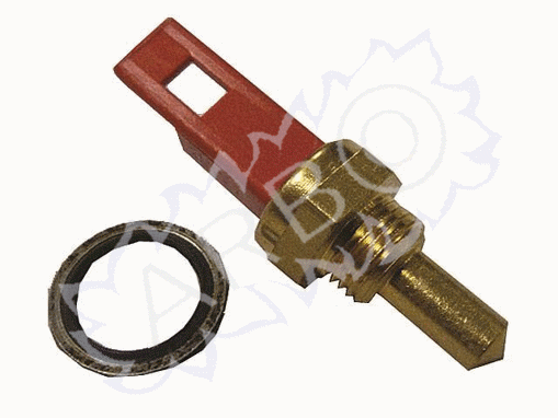 Imagen de SONDA DE INMERSION