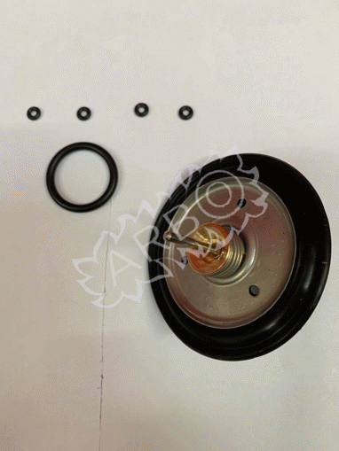 Imagen de KIT MEMBRANA COMPATIBLE GIANNONI