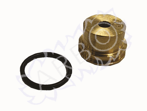 Immagine di INYECTOR D4,70 MM G31 ECONCEPT