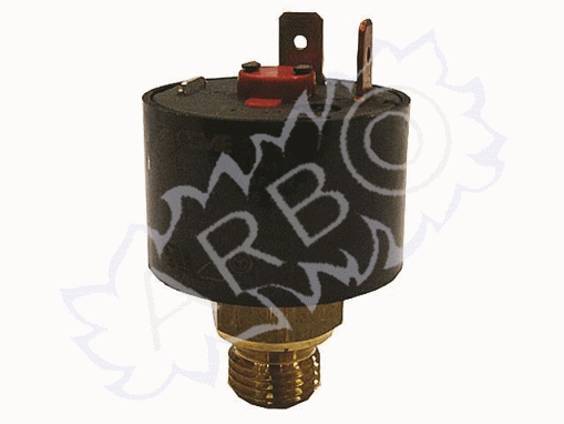 Imagen de PRESOSTATO ABSOLUTO 1/4M EN COBRE