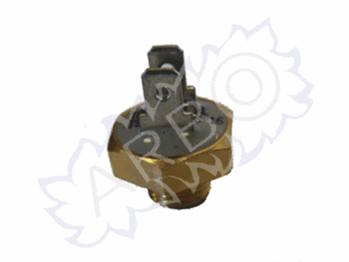 Imagen de SENSOR (NTC)