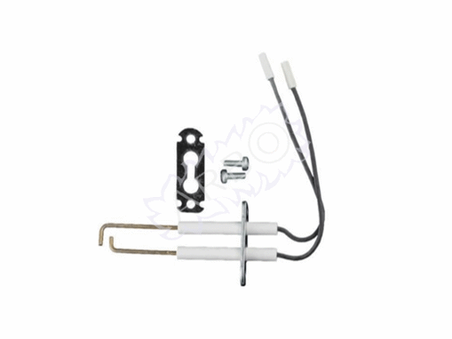 Imagen de ELECTRODO VIESSMANN