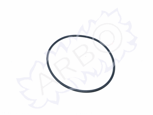 Imagen de KIT N.10 O-RING (JUNTA TÓRICA)