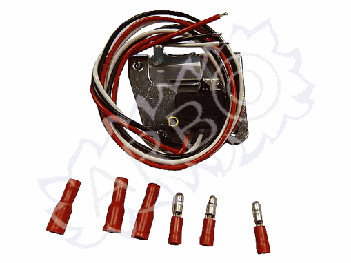 Imagen de MICROINTERRUPTOR RIELLO