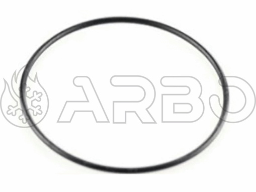 Imagen de JUNTA TORICA BOMBA SARA/NORA (10 UD) ***LUEGO FUERA DE PRODUCCION***